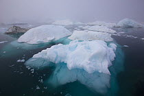 Iceberg in the sea outside the Kangia Ilulissat Icefjord, Icebergs from the Sermeq Kujalleq Glacier.Ilulissat Icefjord UNESCO World Heritage Site, Greenland. August 2014. Photographed for The Freshwat...