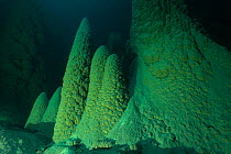 Anhumas Abyss, a 72 meters deep cave with underwater limestone cones up to 20 meters high, Bonito area, Serra da Bodoquena (Bodoquena Mountain Range), Mato Grosso del Sul, Brazil November 2016 . Photo...
