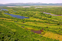 Aerial view of the Pantanal, end of the dry season, area of the Rio Paraguay, Brazil. November 2012. Photographed for the Freshwater Project.