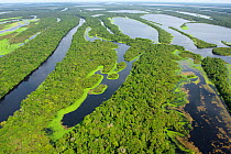 Aerial view of the flooded forest of Anavilhanas Archipelago, Anavilhanas National Park, in the Rio Negro, Amazonas, Brazil February 2011. Photographed for The Freshwater Project