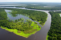 Aerial view of flooded forests, Anavilhanas Archipelago, Anavilhanas National Park, in the Rio Negro, Amazonas, Brazil February 2011. Photographed for The Freshwater Project
