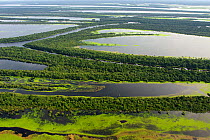 Aerial view of flooded forests, Anavilhanas Archipelago, Anavilhanas National Park,  Rio Negro, Amazonas, Brazil February 2011. Photographed for The Freshwater Project