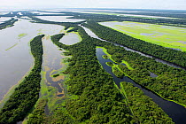 Aerial view of flooded forests, Anavilhanas Archipelago, Anavilhanas National Park, in the Rio Negro, Amazonas, Brazil February 2011. Photographed for The Freshwater Project