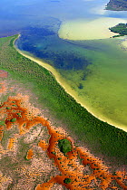 Aerial shot of the Laguna Sian Ka'an, freshwater lagoon,  close to Boca Paila,  Quintana Roo, Yucatan Peninsula, Mexico. February 2014. Photographed for The Freshwater Project
