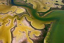 Aerial shot of the Laguna Sian Ka&#39;an, freshwater lagoon, at edge of the sea, close to Boca Paila, Quintana Roo, Yucatan Peninsula, Mexico . Photographed for The Freshwater Project February 2014
