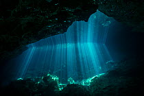 Sunrays in Cenote Jardin del Eden, Quintana Roo, Yucatan Peninsula, Mexico, May 2016. Photographed for The Freshwater Project