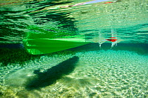 Underwater view of kayak and paddle, Rainbow Springs, Rainbow Springs State Park, Florida, USA. January 2012. Photographed for The Freshwater Project