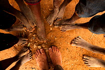 Feet of local children, Andasibe-Mantadia National Park, Moramanga, Madagascar??.