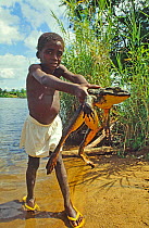 Young boy holding Goliath frog (Conraua goliath) Sanaga, Cameroon. Hunted for bushmeat / food