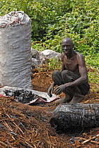 Local man making charcoal, Kenya, July 2017.