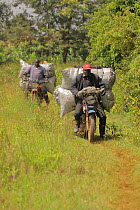 Kalenjin men carrying charcoal on motorbike, Kenya, July