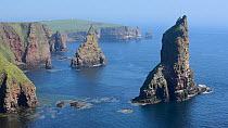 Sea stacks at Duncansby Head, Caithness, Scotland, UK, May.