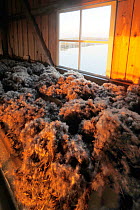 Storage house for Eider duck down before cleaning , with midnight sun. Lanan, Vega islands UNESCO World Heritage Site, Northern Norway, Highly commended in the Man and Nature Category of Terre Sauvage...