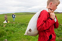 Boy with bag of Common eider duck (Somateria mollissima) down collected from breeding birds, Flatey, Iceland. Highly commended in the Man and Nature Category of Terre Sauvage Nature Images Awards 2017...