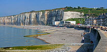 Saint-Valery-en-Caux, pebble beach and white chalk cliffs, Seine-Maritime, Normandy, France, June 2017