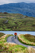 Lone biker cycling through the Scottish Highlands on heavily laden touring bicycle along single track road, Scotland, UK, May