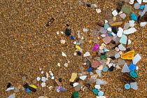 Marine microplastics (particles with upper size limit of 5mm) washed up on a beach in  Pembrokeshire, Wales, UK. January.