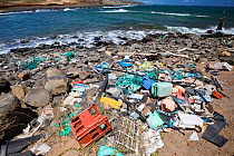 Plastic waste discarded at sea washed up by trade winds onto Molokai Island, Hawaii. July.