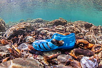 Discarded plastic shoe in the sea, Crete, Greece, April.