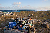 Marine litter - mostly shoes  flip flops) and plastic bottles washed up on shore with Aldabra giant tortoise (Aldabrachelys gigantea). Cinq Cases, Aldabra Island, Indian Ocean