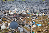 Marine litter - mostly shoes  (flip flops) and plastic bottles washed up on shore with Aldabra giant tortoise (Aldabrachelys gigantea). Cinq Cases, Aldabra Island, Indian Ocean