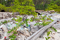 Plastic waste, mainly bottles, washed up onto  beach of uninhabited island in the South China Sea.