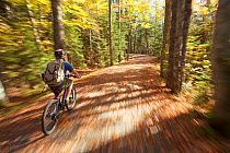 Boy rides his bike over a leaf covered park road in Acadia National Park, Maine, USA. October 2013. Model released.