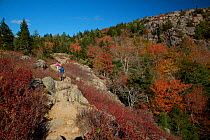Family hiking with backpacks through Acadia National Park, Maine, USA. October 2013. Model released.