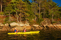 Boy and girl kayaking, Acadia National Park, Maine, USA. October 2013. Model released.