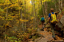 Boy and girl hiking in forest, Acadia National Park, Maine, USA. October 2013. Model released.