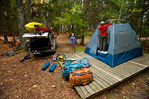 Family setting up tent in forest, Acadia National Park, Maine, USA. October 2013. Model released.