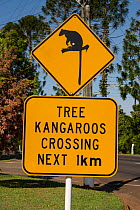 Lumholtz's tree-kangaroo road sign, Queensland, Australia