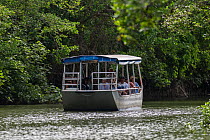 Tourist river boat on the Daintree River, Daintree, Queensland, Australia