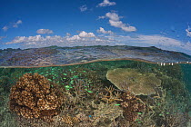 Healthy coral reefs with abundant marine life in tambo or marine protected areas - split level, Nukusa Village, Undu Point, Macuata Province, Fiji, South Pacific