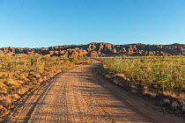 Road towards Bungle Bungle Range, beehive shaped karst sandstone formation formed by erosion, with dark lines formed by cyanobacteria. Purnululu National Park, UNESCO World Heritage Site, Kimberley, W...