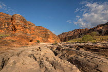 Dry river bed leading to the extraordinary array of banded, beehive-shaped cone towers comprising the Bungle Bungle Range. The rock formations are caused by erosion of karst sandstone, Purnululu Natio...