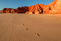 Footsteps on the white sands, Kimberley, Broome, Western Australia, Australia July 2016.