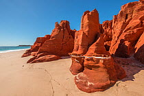 Spectacular views of ochre-coloured earth and sandstone cliffs, white sands and aquamarine waters of the Dampier Peninsula is one of the most spectacular coastal environments in Australia and a great...