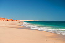 White sand beach, Dampier Peninsula, Kimberley, Western Australia. July 2016.