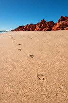 Footsteps on the white sands, Broome, Kimberley, Western Australia. July 2016.