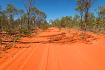 Red sandy roads from Broome to Cape Leveque, Kimberley, Western Australia. July 2016.