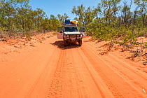 Four wheel drive car on a red sand road from Broome to Cape Leveque Kimberley, Western Australia. July 2016.