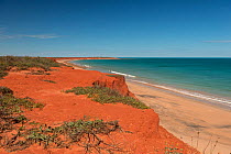 Vegetation in the red sand and sandstones by the coast. Dampier Peninsula,  Kimberley, Western Australia. July 2016.