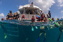 Split level of snorkellers swimming the reefs of the Great Barrier Reef underwater, Great Barrier Reef, Queensland, Australia October 2016.