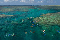 Aerial view of snorkellers swimming the reefs of the Great Barrier Reef, Queensland, Australia October 2016.
