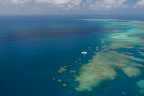 Aerial view of the reefs of the Great Barrier Reef showing the tourist dayboats, Great Barrier Reef, Queensland, Australia October 2016.