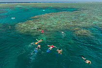 Aerial view of snorkellers swimming the reefs of the Great Barrier Reef, Queensland, Australia October 2016.