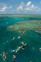 Snorkellers swimming the reefs of the Great Barrier Reef, Queensland, Australia October 2016.