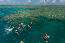 Snorkellers swimming the reefs of the Great Barrier Reef, Queensland, Australia October 2016.