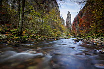 Pic de l'Oeillette, gorges of the Guiers mort, in autumn. Chartreuse Regional Nature Park, Isere, Alps, France, October.